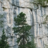 Familienwanderung Wiesberghaus